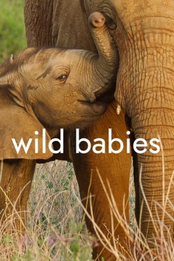 watch free Wild Babies