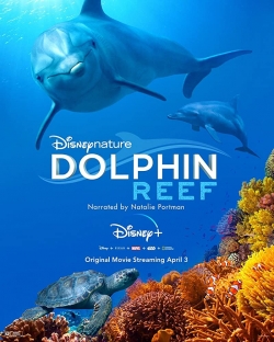 watch free Dolphin Reef