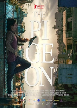 watch free The Pigeon