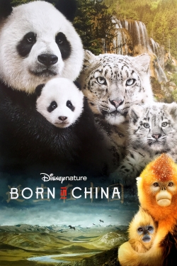 watch free Born in China