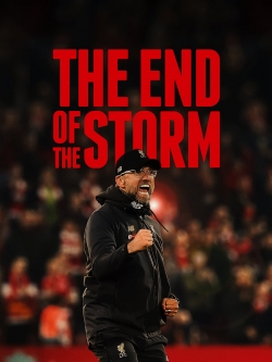 watch free The End of the Storm