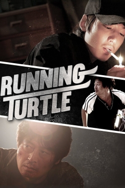 watch free Running Turtle