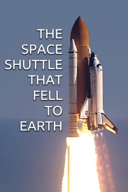 watch free The Space Shuttle That Fell to Earth
