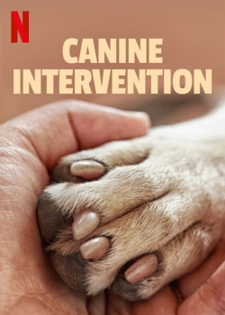 watch free Canine Intervention
