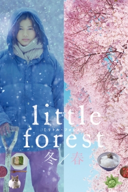 watch free Little Forest: Winter/Spring