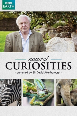 watch free David Attenborough's Natural Curiosities