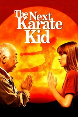 watch free The Next Karate Kid