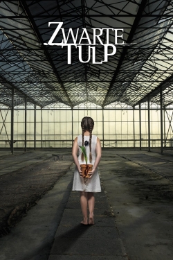 watch free Black Tulip
