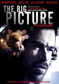 watch free The Big Picture