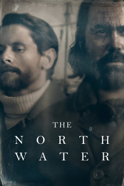 watch free The North Water