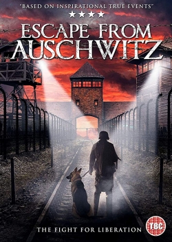 watch free The Escape from Auschwitz