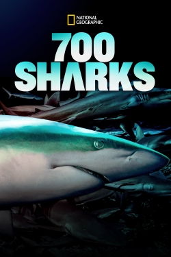 watch free 700 Sharks