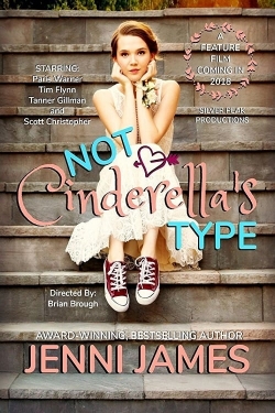 watch free Not Cinderella's Type