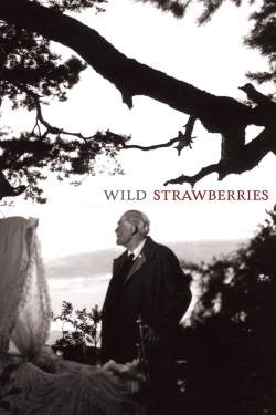 watch free Wild Strawberries