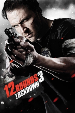 watch free 12 Rounds 3: Lockdown