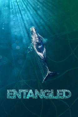watch free Entangled: The Race to Save Right Whales from Extinction