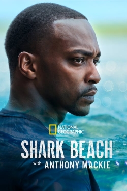 watch free Shark Beach with Anthony Mackie