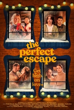 watch free The Perfect Escape
