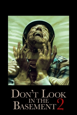 watch free Don't Look in the Basement 2