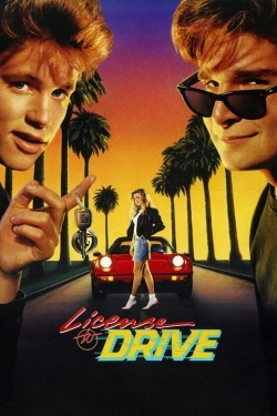 watch free License to Drive