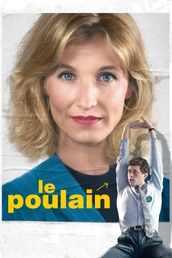 watch free Le Poulain