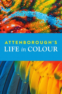 watch free Attenborough's Life in Colour