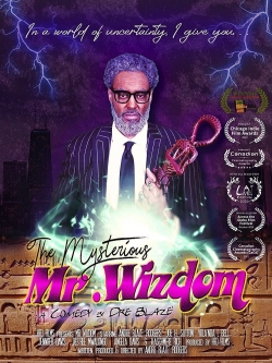 watch free The Mysterious Mr. Wizdom