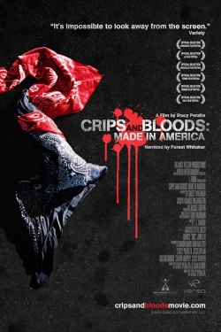 watch free Crips and Bloods: Made in America