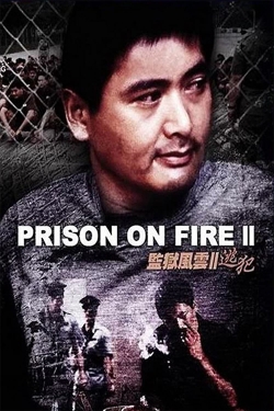 watch free Prison on Fire II