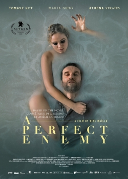 watch free A Perfect Enemy