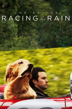 watch free The Art of Racing in the Rain