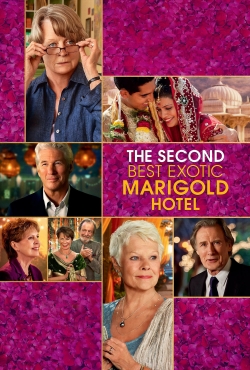 watch free The Second Best Exotic Marigold Hotel