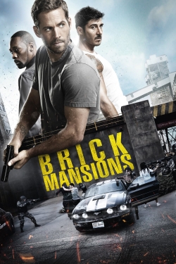 watch free Brick Mansions