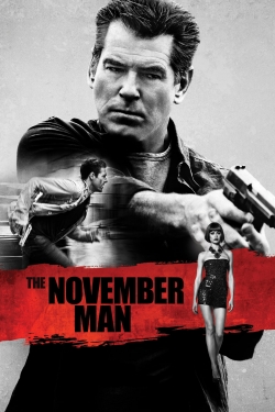 watch free The November Man