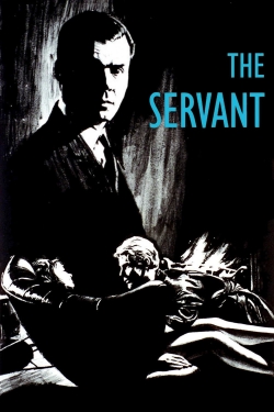 watch free The Servant