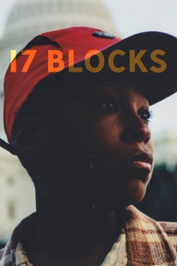 watch free 17 Blocks