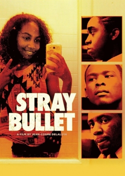 watch free Stray Bullet