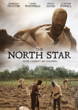 watch free The North Star