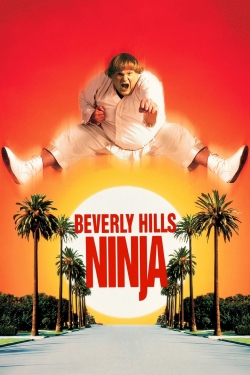 watch free Beverly Hills Ninja
