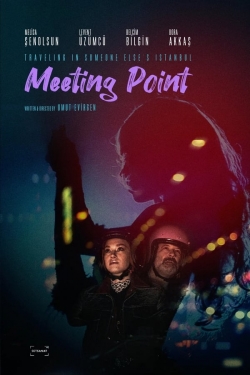 watch free Meeting Point