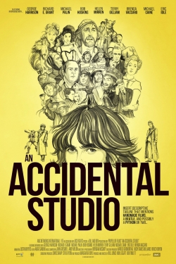 watch free An Accidental Studio