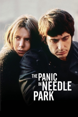 watch free The Panic in Needle Park