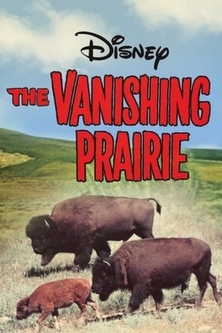 watch free The Vanishing Prairie