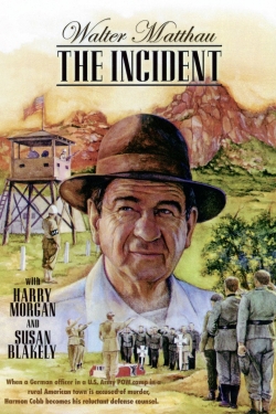 watch free The Incident