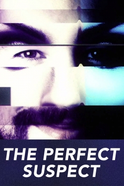 watch free The Perfect Suspect