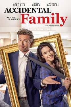 watch free Accidental Family
