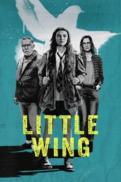 watch free Little Wing