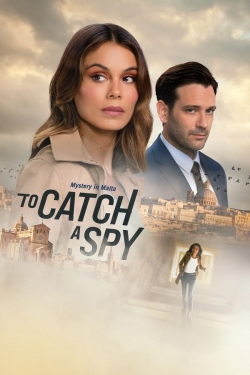 watch free To Catch a Spy
