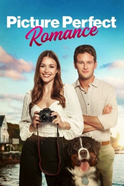 watch free Picture Perfect Romance