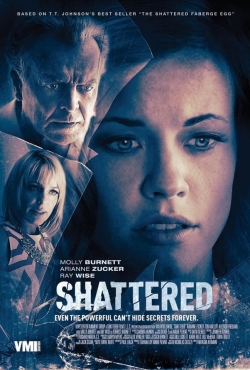 watch free Shattered